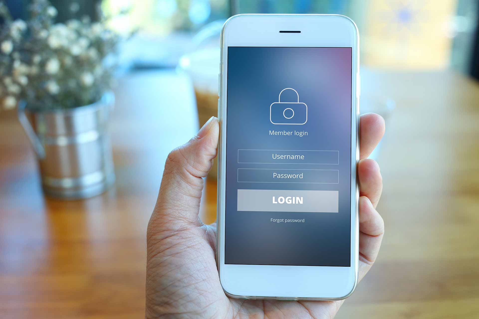 Schermata login app mobile